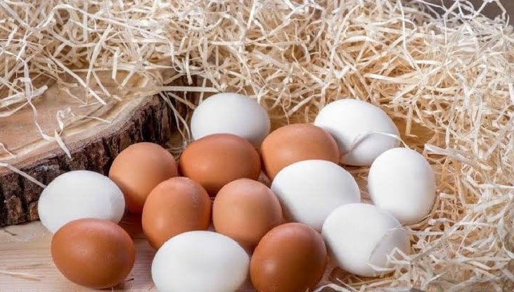 ruyada yumurta gormek ne anlama gelir